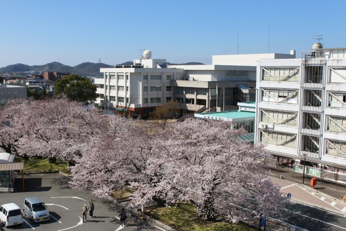 小野市への移住