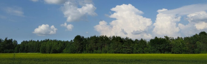 山口県への移住【メリットやデメリット】